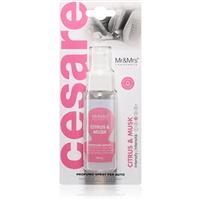 Mr & Mrs Fragrance Cesare Citrus & Musk air freshener for cars 50 ml