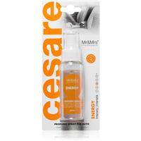 Mr & Mrs Fragrance Cesare Energy air freshener for cars 50 ml