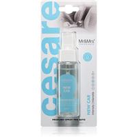 Mr & Mrs Fragrance Cesare New Car air freshener for cars 1 pc