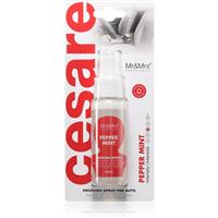 Mr & Mrs Fragrance Cesare Peppermint air freshener for cars 50 ml
