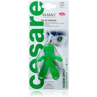Mr & Mrs Fragrance Cesare Warm Spicy car air freshener 1 pc