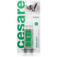 Mr & Mrs Fragrance Cesare Warm Spicy air freshener for cars 50 ml