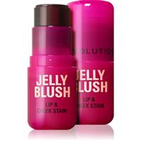 Makeup Revolution Jelly Blush blusher stick for lips and cheeks shade Cherry Red 5.5 g