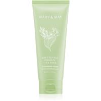 Mary&May Houttuynia Cordata + Tea Tree Cleansing Foam deep-cleansing mousse with soothing effect 150 ml