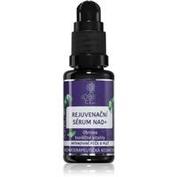 Nobilis Tilia Intenzivn pče intensely rejuvenating serum to restore skin firmness 20 ml
