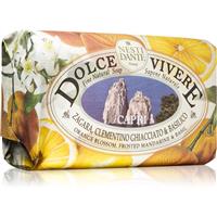 Nesti Dante Dolce Vivere Capri natural soap 250 g