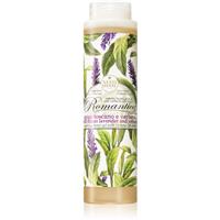 Nesti Dante Romantica Wild Tuscan Lavender and Verbena gentle shower gel 300 ml