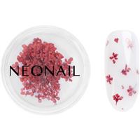 NEONAIL Dried Flowers dried blossom for nails shade 08 Red 1 pc