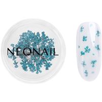 NEONAIL Dried Flowers dried blossom for nails shade 05 Turquoise 1 pc