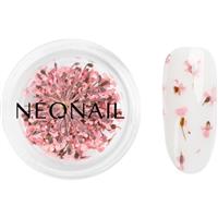 NEONAIL Dried Flowers dried blossom for nails shade Pink 1 pc