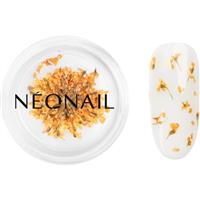 NEONAIL Dried Flowers dried blossom for nails shade Orange 1 pc