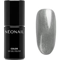 NEONAIL Winter Symphony gel nail polish for UV/LED hardening shade Silver Sheen 7.2 ml