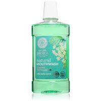 Natura Siberica Natural Mouthwash Strong Teeth & Gums herbal mouthwash with zinc 520 ml