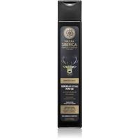 Natura Siberica For Men Only anti-dandruff shampoo 250 ml
