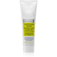Natura Siberica Natural Siberian 7 Northern Herbs toothpaste for bleeding gums 100 g