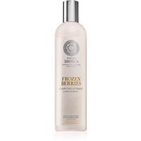Natura Siberica Copenhagen Frozen Berries vitamin shampoo for oily hair 400 ml