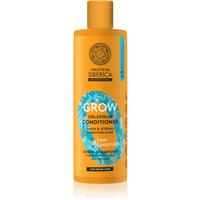 Natura Siberica Oblepikha Siberica strengthening conditioner for hair growth stimulation 400 ml