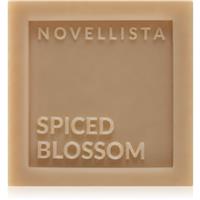 NOVELLISTA