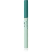 Payot Pte Grise Stylo Duo Purifiant Correcteur imperfection-reducing concealer stick 2x3 ml