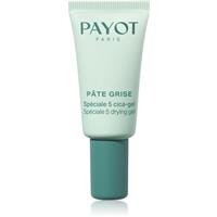 Payot Pte Grise Spciale 5 Cica-Gel topical acne gel 15 ml