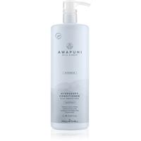 Paul Mitchell Awapuhi Wild Ginger HydraSoft Condicioner moisturising conditioner 1000 ml