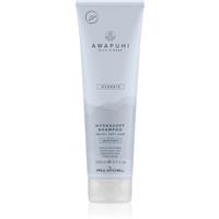 Paul Mitchell Awapuhi Wild Ginger HydraSoft Shampoo moisturising shampoo 250 ml
