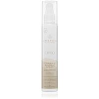 Paul Mitchell Awapuhi Wild Ginger HydroMist Blowout Spray setting spray for impeccable volume 150 ml