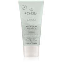 Paul Mitchell Awapuhi Wild Ginger Repair Nourishing Shampoo nourishing shampoo for reconstruction and hair strengthening 75 ml