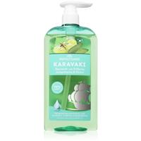 PAPOUTSANIS Karavaki Control & Detox shampoo for a greasy, dry scalp 600 ml
