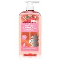 PAPOUTSANIS Karavaki Nutrition & Hydration nourishing shampoo 600 ml