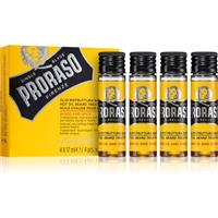 Proraso Wood and Spice Hot Set intensive oil treatment for tough stubble 4 x 17 ml