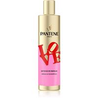 Pantene Pro-V Robert Indiana restoring shampoo for damaged hair 250 ml