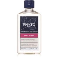 Phyto Phytocyane Invigorating Shampoo hair activating shampoo for hair loss 250 ml