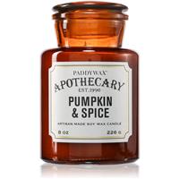 Paddywax Apothecary Pumpkin Spice scented candle 226 g