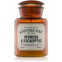 Paddywax Apothecary Verbena & Eucalyptus scented candle 226 g