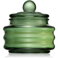 Paddywax Beam Cactus Flower scented candle 85 g