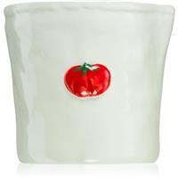Paddywax Bistro Heirloom Tomato scented candle 226 g