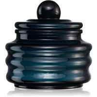 Paddywax Beam Saltwater & Suede scented candle 85 g