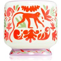 Paddywax A Dopo Jungle scented candle 226 g