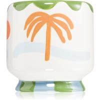 Paddywax A Dopo Palm Tree scented candle 226 g