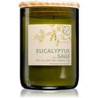 Paddywax Eco Green Eucalyptus & Sage scented candle 226 g