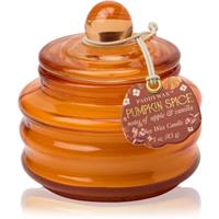 Paddywax Pumpkin Spice scented candle 58 g