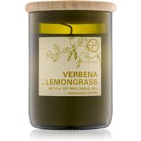 Paddywax Eco Green Verbena & Lemongrass scented candle 226 g