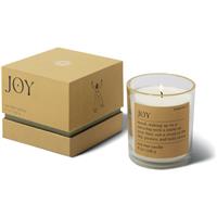 Paddywax Mood Joy Misted Lime scented candle 226 g
