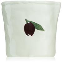 Paddywax Bistro Olive scented candle 226 g