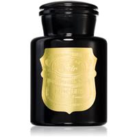 Paddywax Apothecary Noir Palo Santo scented candle 226 g