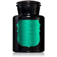 Paddywax Apothecary Noir Tabac & Pine scented candle 226 g