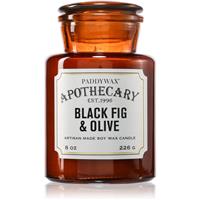 Paddywax Apothecary Fig & Olive scented candle 226 g