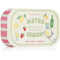 Paddywax Bistro Meyer Lemon scented candle 127 g