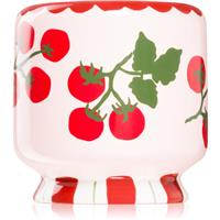 Paddywax A Dopo Tomato Vine scented candle 226 g